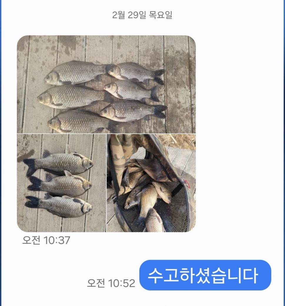 2024년 03월 첫째주 조황정보 붕어방류 (유료터정보 - 유료터점주조황)