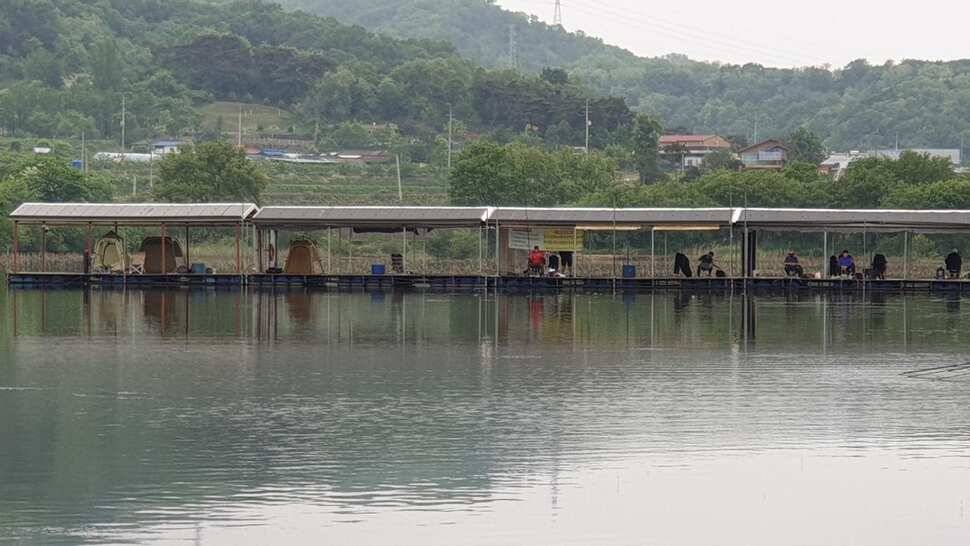 아산 명품 월랑낚시터 5월 세번째 조황이야기입니다 (유료터정보 - 유료터점주조황)