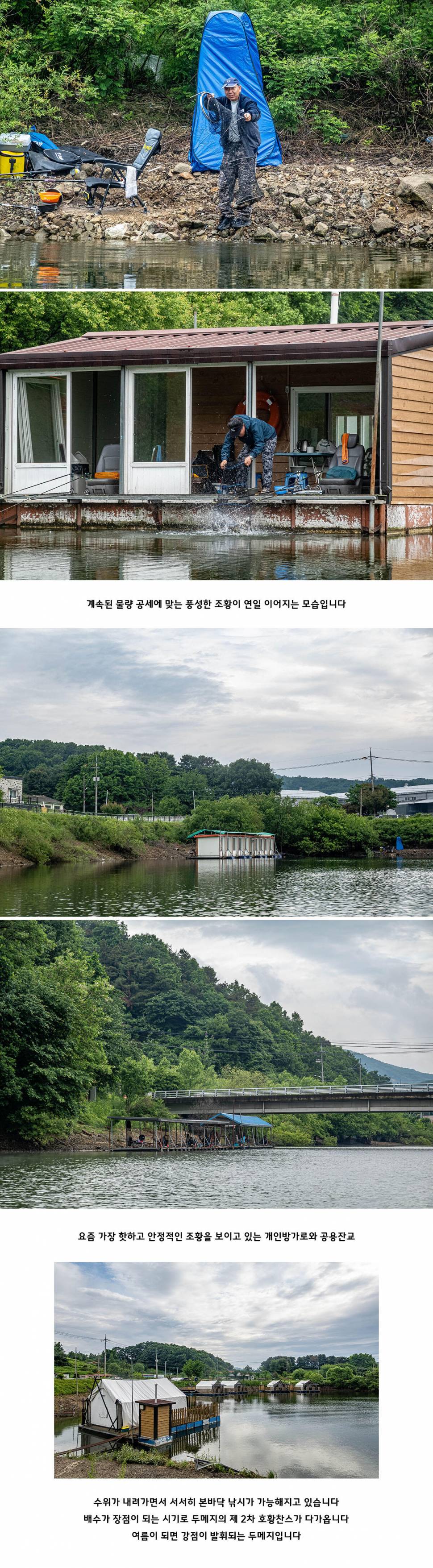안성 두메낚시터 5월 24일 조황정보 (유료터정보 - 유료터점주조황)