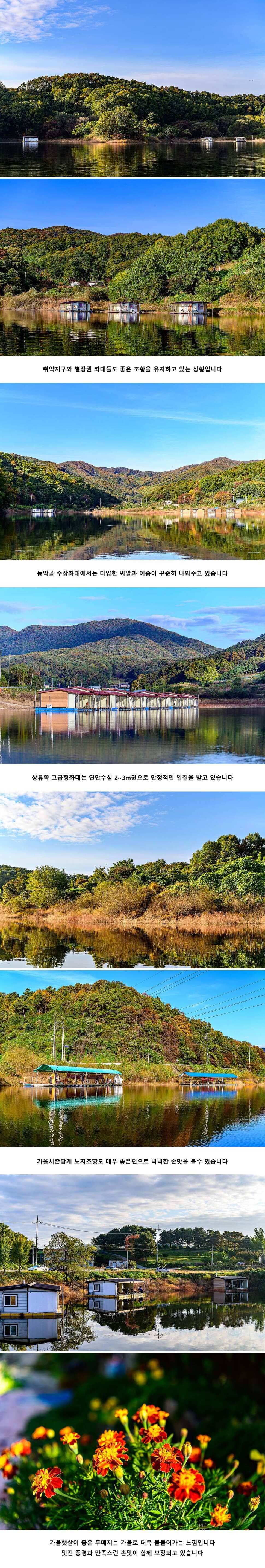안성 두메낚시터 10월 25일 조황정보 (유료터정보 - 유료터점주조황)