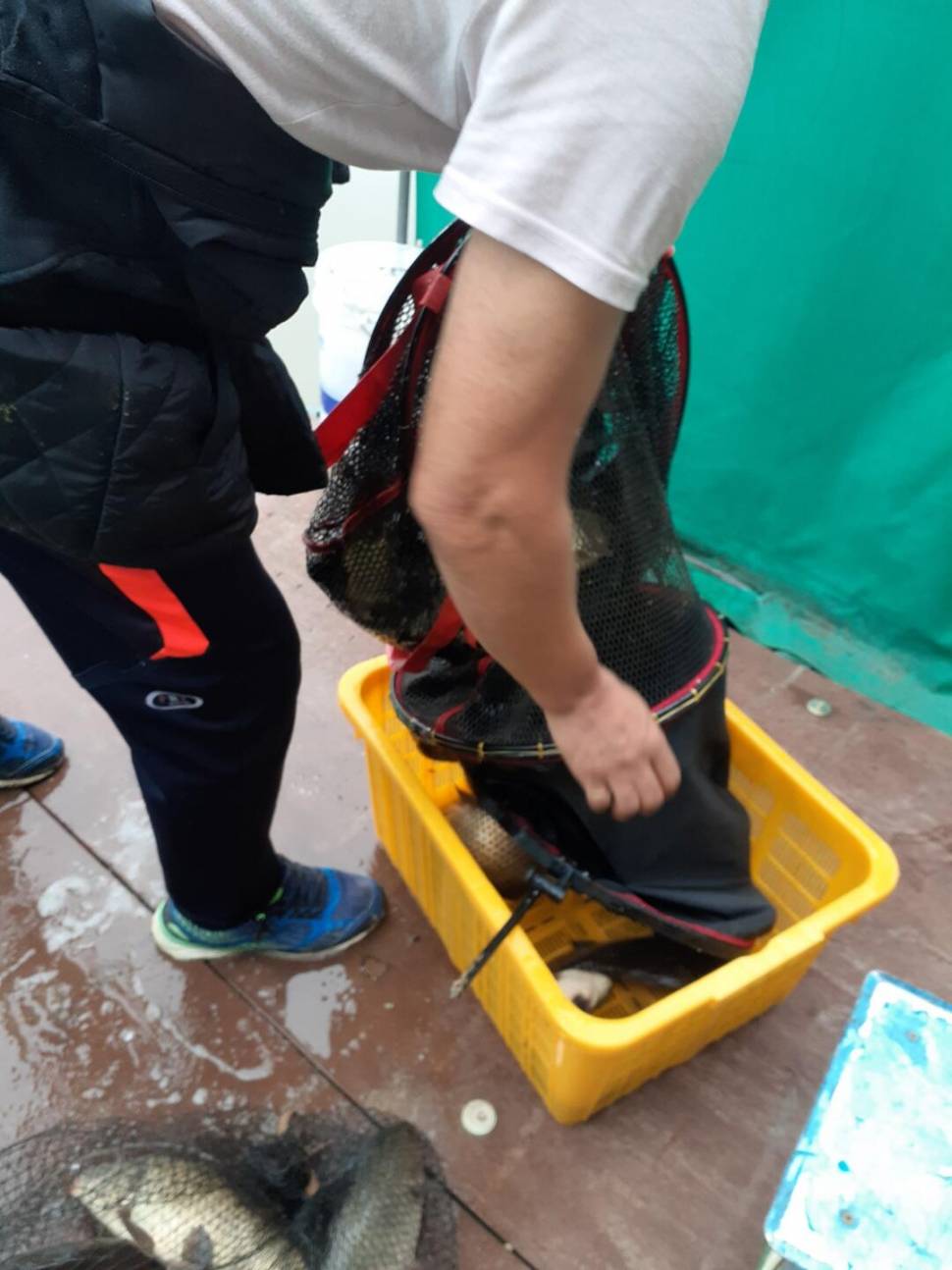 경주 동산낚시터붕어 전용 잡이터 지난주 조황 (유료터정보 - 유료터점주조황)