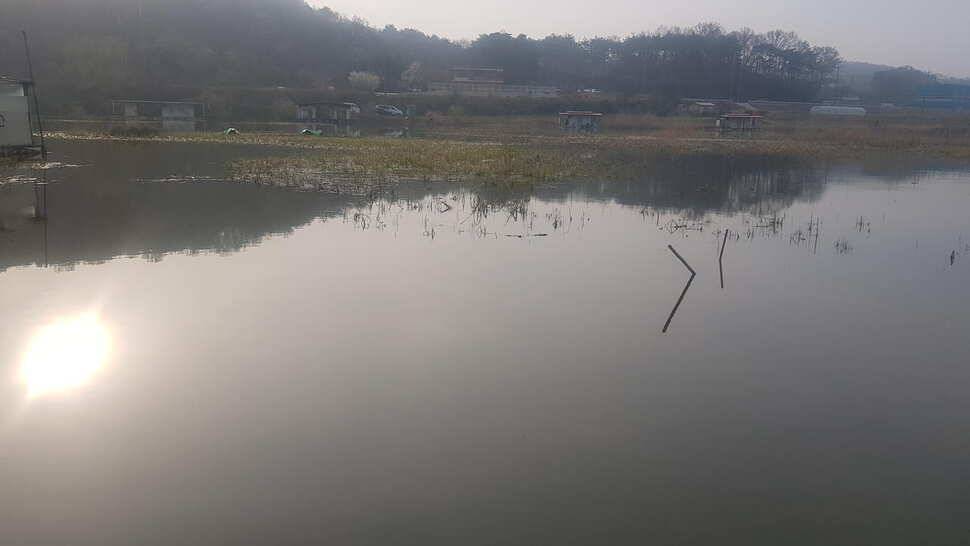 가교리낚시터 4월 19일 조황 (유료터정보 - 유료터점주조황)