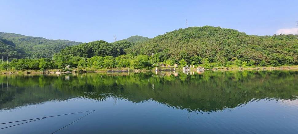 힐링 양평 수곡낚시터 6월 첫날 주초 조황 및 오늘 붕어방류 (유료터정보 - 유료터점주조황)