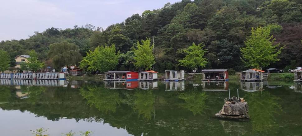 힐링 양평수곡낚시터 목금 주후반 꾸준한 조과 및 편차가 있네요 (유료터정보 - 유료터점주조황)