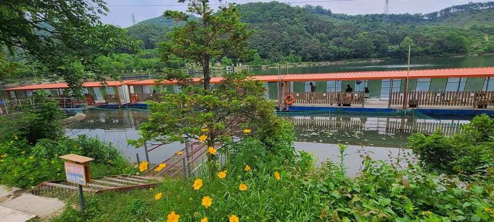 붕어낚시 양평 수곡낚시터 5월마지막주 주초 조황 안내드립니다 (유료터정보 - 유료터점주조황)