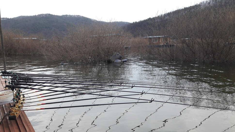 송전지 창신좌대 조황 (유료터정보 - 유료터점주조황)
