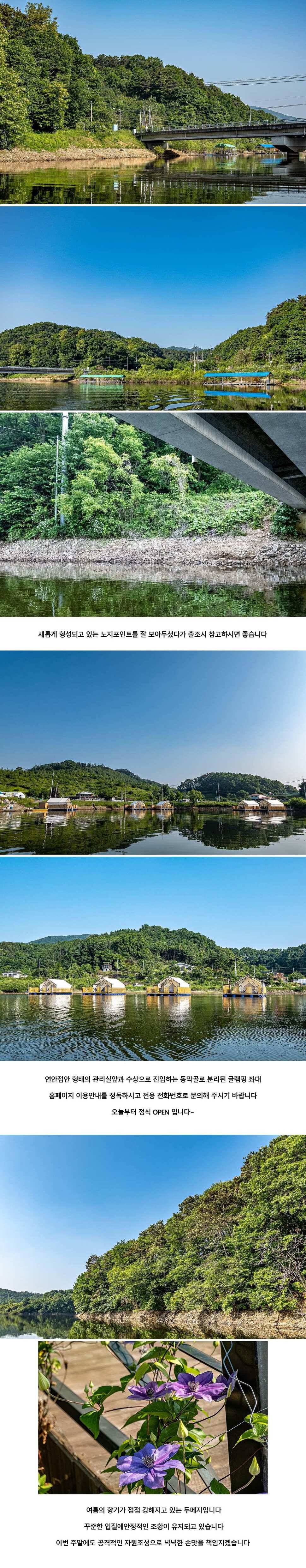 안성 두메낚시터 5월 29일 조황정보 (유료터정보 - 유료터점주조황)