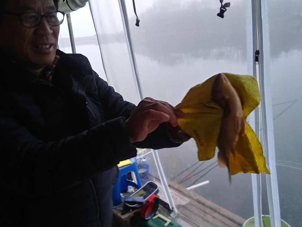 겨울붕어낚시 수곡낚시터 좋은 조황이 나와줍니다 금일 수상좌대 주중요금입니다 (유료터정보 - 유료터점주조황)