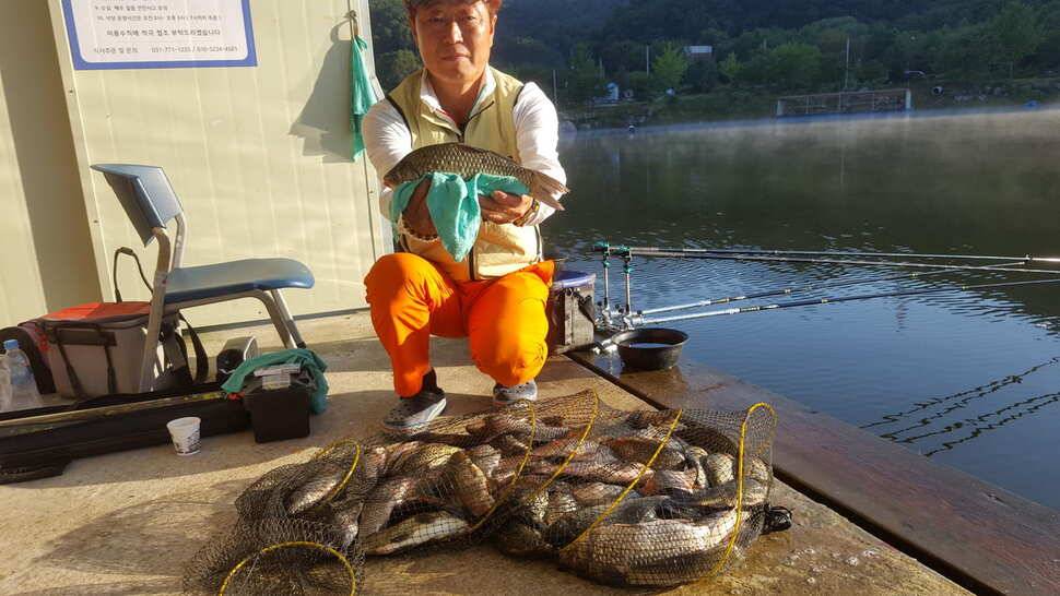 양평 붕어낚시 수곡낚시터 초대박 조황과 고른 조황이며 낮시간 부터 붕어들이 나와주네요 (유료터정보 - 유료터점주조황)