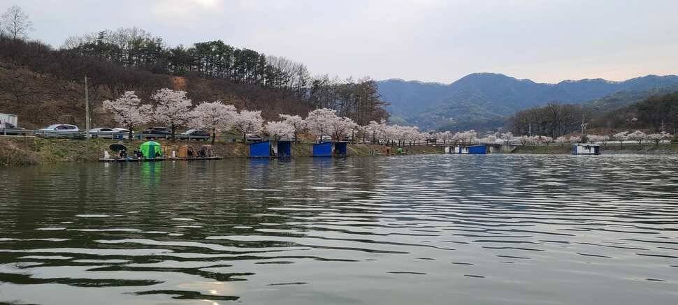 공주 고성낚시터 입니다 (유료터정보 - 유료터점주조황)