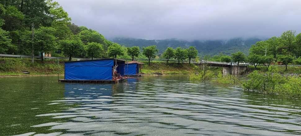 공주 고성낚시터 입니다 (유료터정보 - 유료터점주조황)