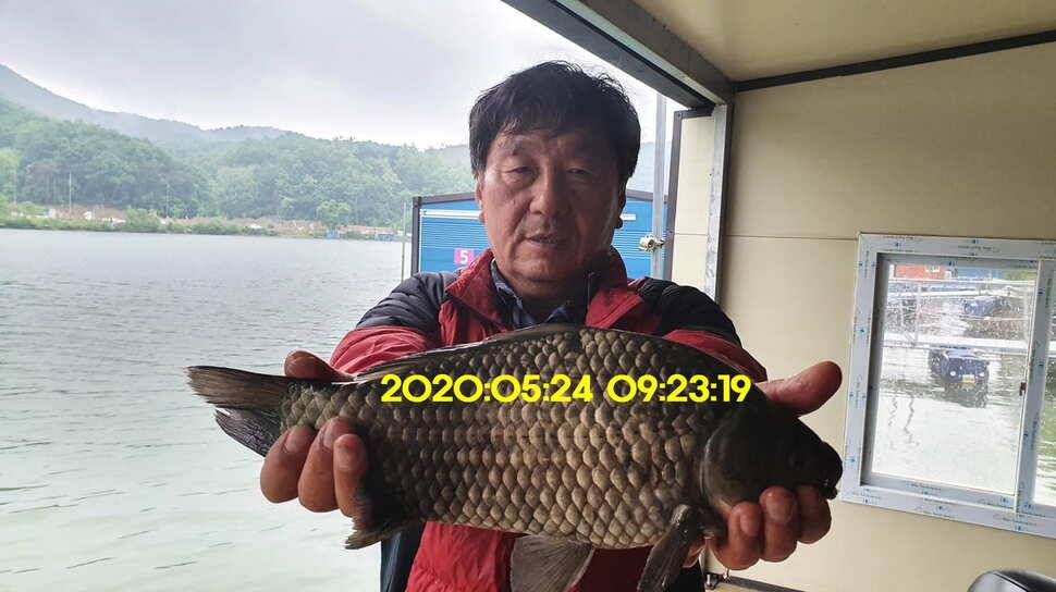 신원낚시터 5월25일 토종대물 43짜리와 덩어리 사진입니다 (유료터정보 - 유료터점주조황)