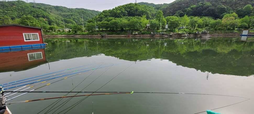 양평 수곡 낚시터 주중 조황도 꾸준합니다 오늘도 붕어방류 완료했습니다 (유료터정보 - 유료터점주조황)