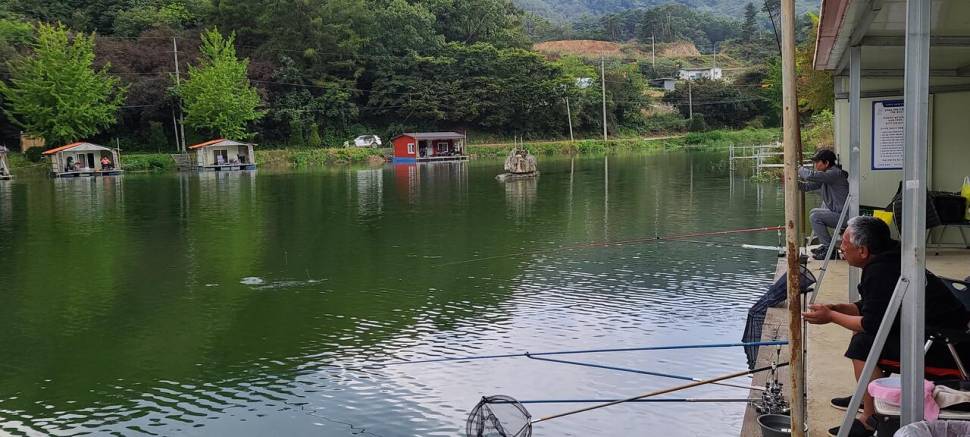 10월둘쨋주 힐링 수곡낚시터 주초 조황 및 방류 소식 (유료터정보 - 유료터점주조황)