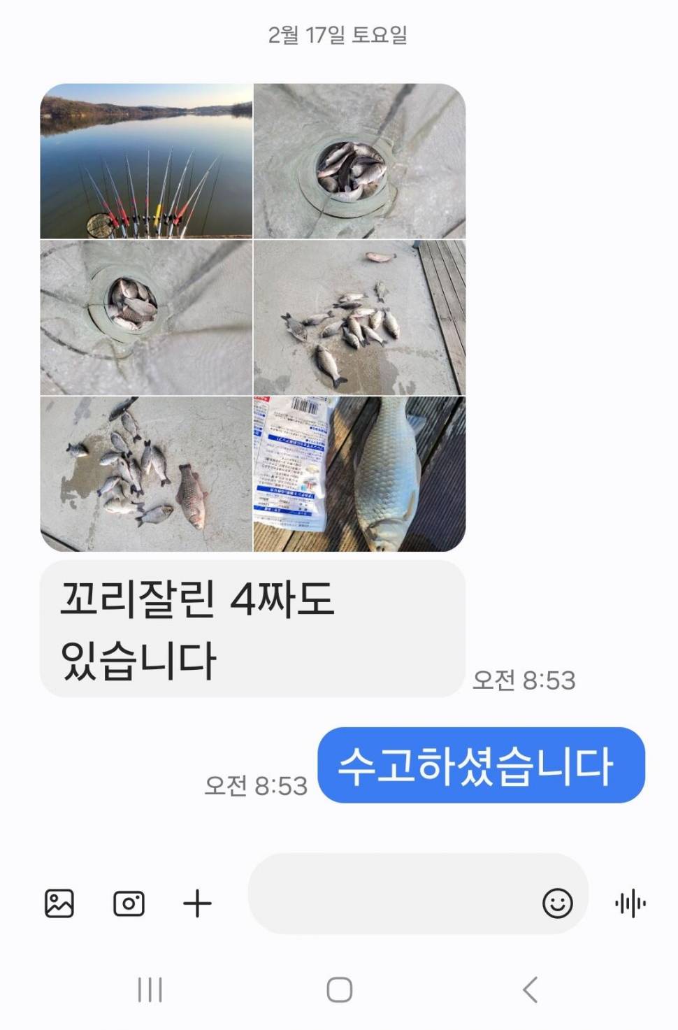 2024년 02월 넷째주 조황정보 용담낚시터사암지 4짜 14마리 대행진 (유료터정보 - 유료터점주조황)