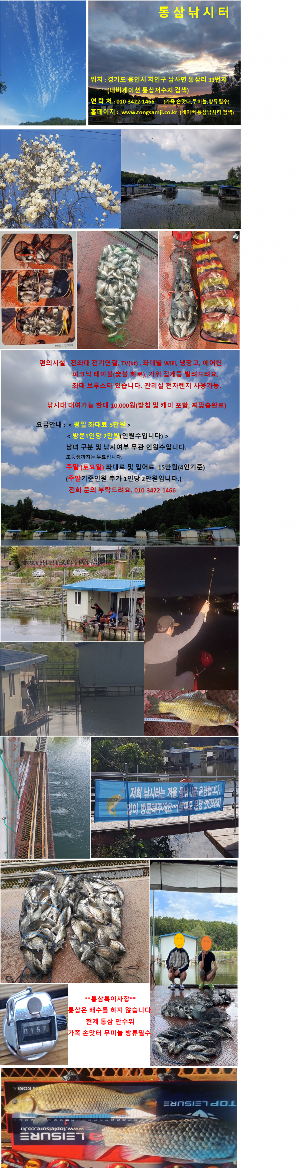 추석연휴 정상영업 통삼으로 가을 붕어 구경오세요 (유료터정보 - 유료터점주조황)
