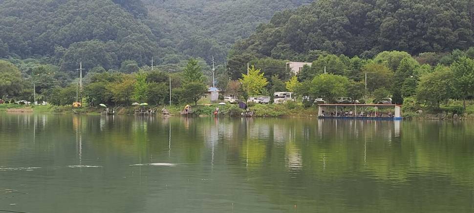 9월첫주말 양평 힐링 수곡낚시터 금토 조과차이가 많았네요 (유료터정보 - 유료터점주조황)
