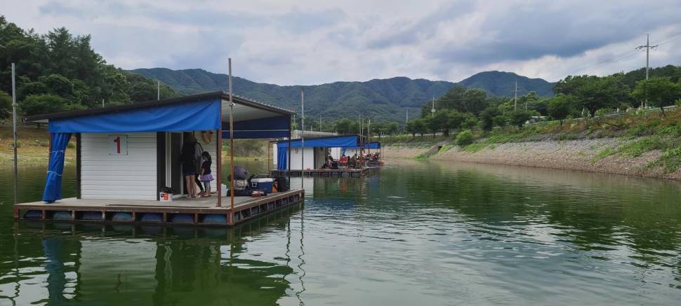공주 고성낚시터 입니다 (유료터정보 - 유료터점주조황)