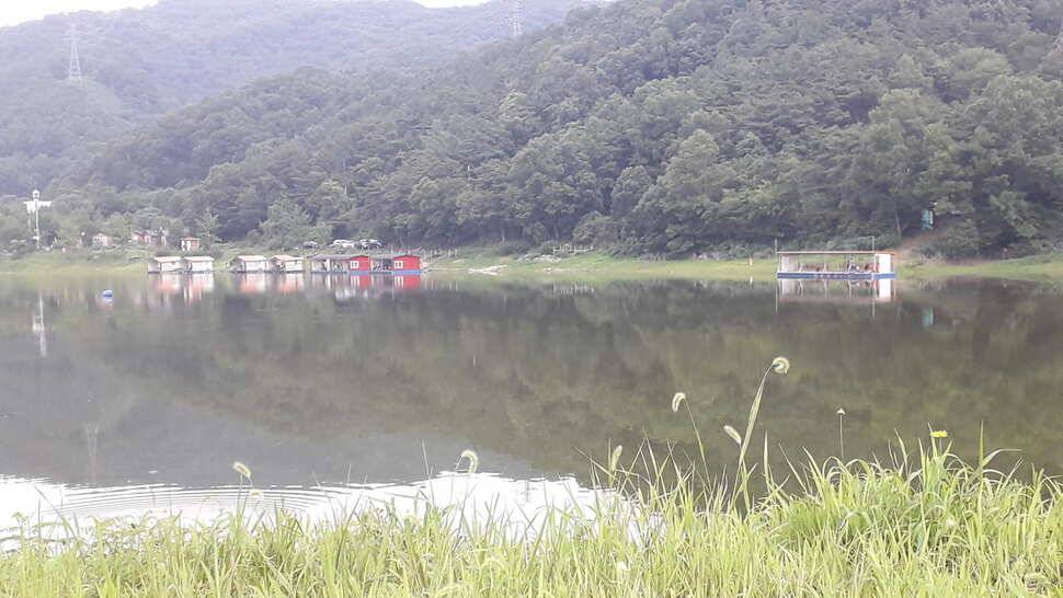 민물낚시 붕어낚시 양평 수곡낚시터 조황이 꾸준히 잘 나와줍니다 오늘도 붕어 방류 했습니다 (유료터정보 - 유료터점주조황)