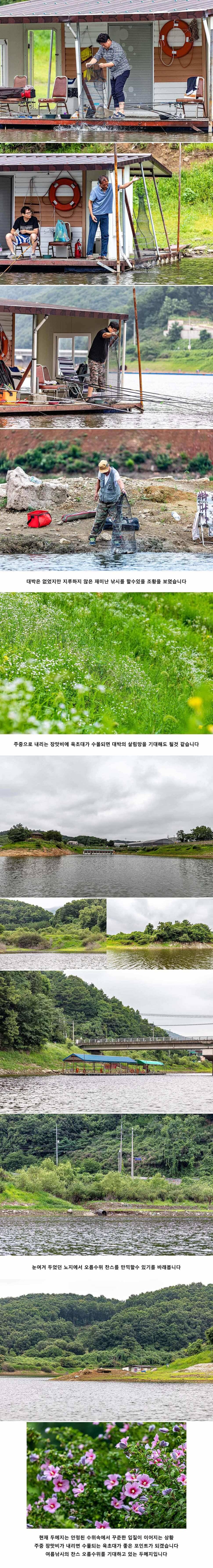 안성 두메낚시터 7월 24일 조황정보 (유료터정보 - 유료터점주조황)
