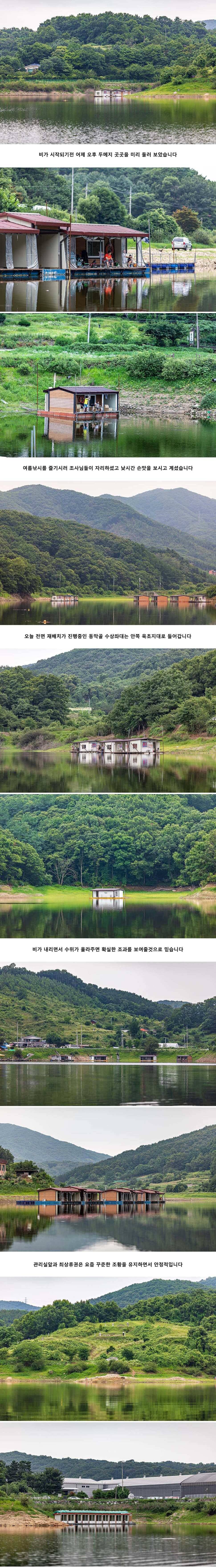 안성 두메낚시터 7월 25일 조황정보 (유료터정보 - 유료터점주조황)