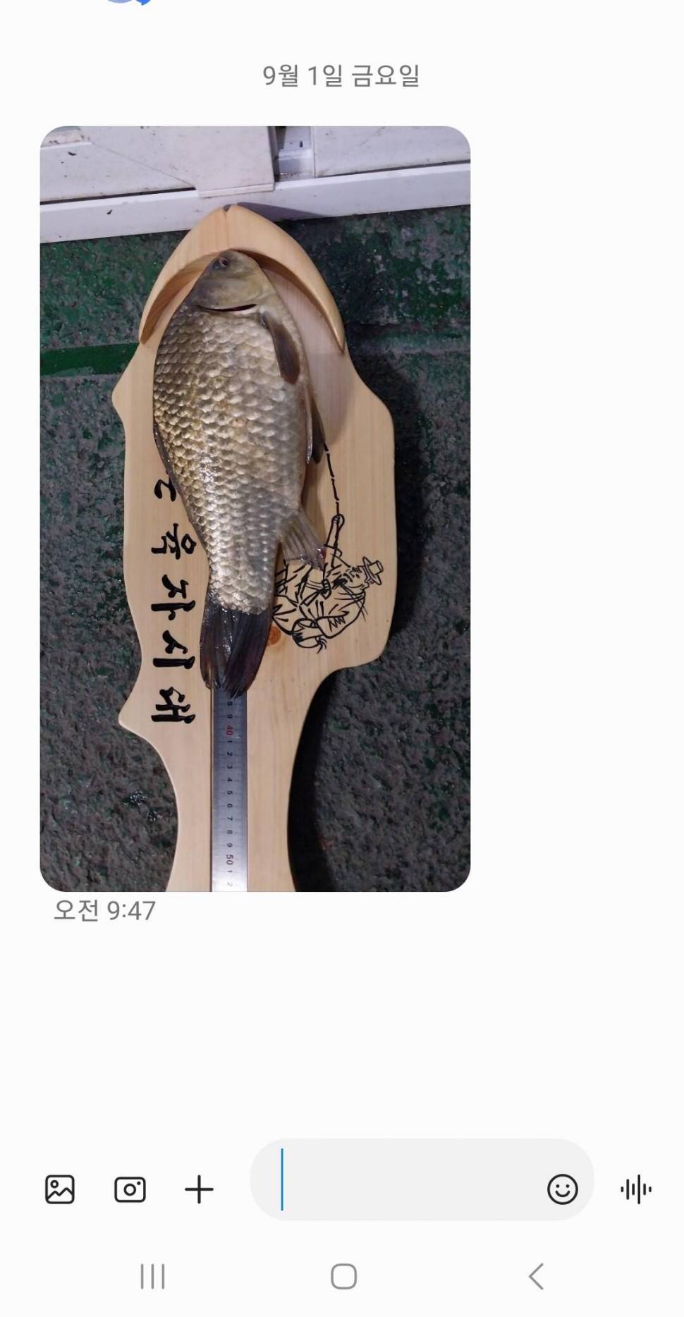 2023년 9월 둘째주 조황정보 용담낚시터사암지 (유료터정보 - 유료터점주조황)