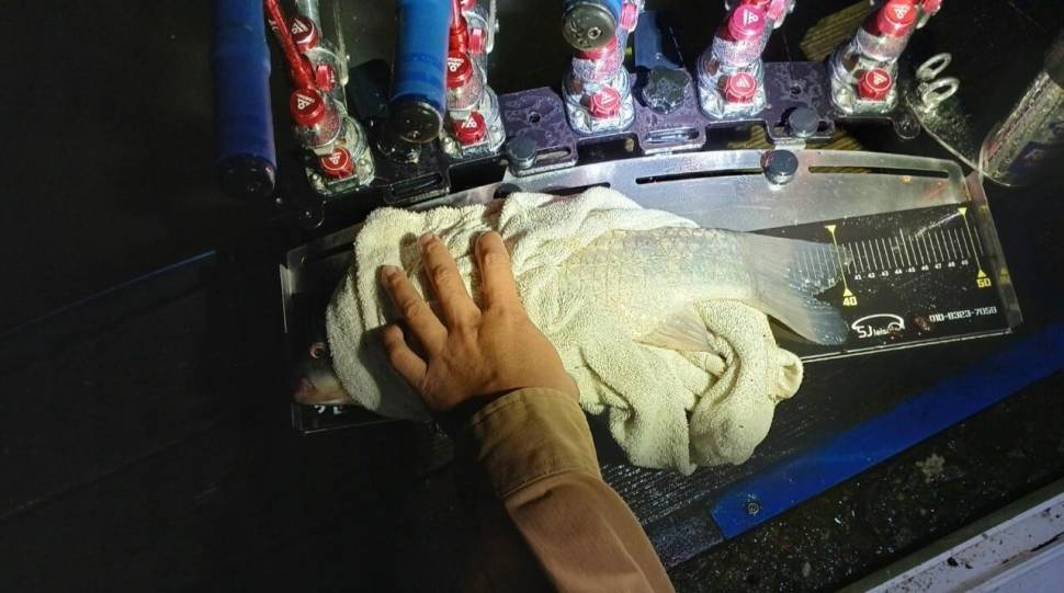 2024년 05월 셋째주 조황정보 용담낚시터사암지 4짜 5마리 (유료터정보 - 유료터점주조황)