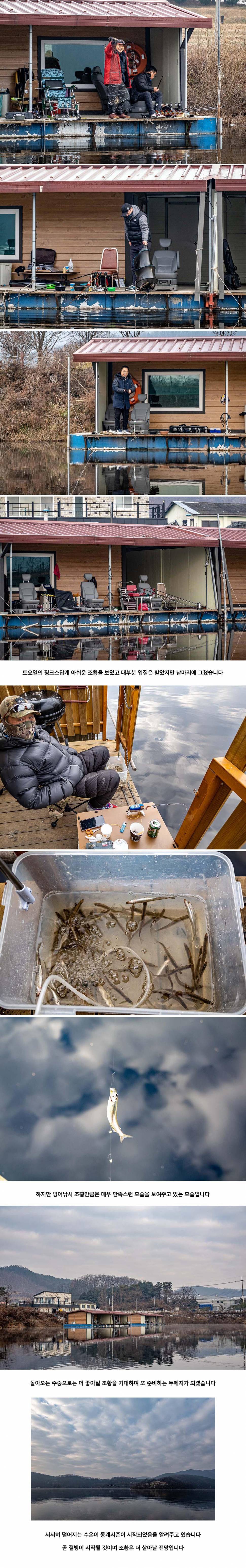안성 두메낚시터 12월 6일 조황정보 (유료터정보 - 유료터점주조황)