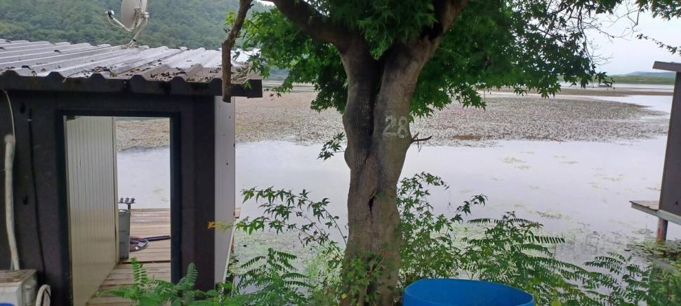 어우실지 선선하니 대물이 나오네요 땟깔이죽여요 (유료터정보 - 유료터점주조황)