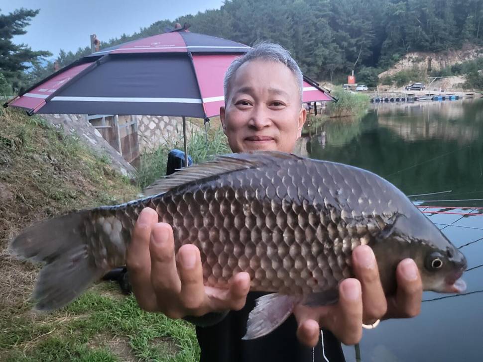용담대물낚시터 (유료터정보 - 유료터점주조황)