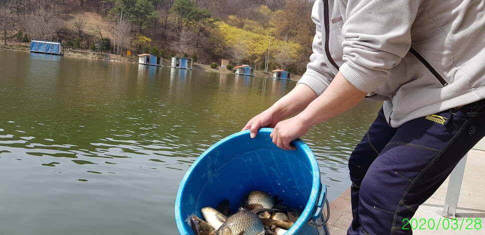 양평 수곡낚시터 3월 마지막주 주말조황 및 붕어방류 수상좌대 할인요금개장기념품 안내 (유료터정보 - 유료터점주조황)