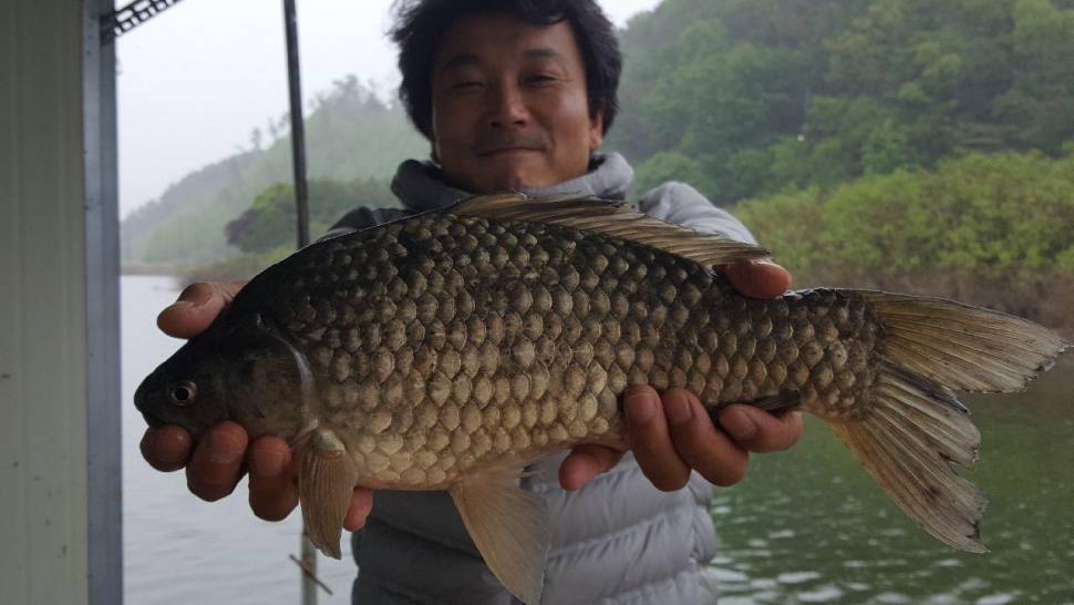 송전지서울집좌대5월10일조황 (유료터정보 - 유료터점주조황)