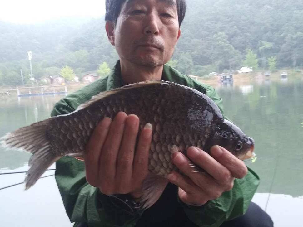 양평 수곡낚시터 붕어낚시 금요일 조황도 고르게 잘 나와주네요 오늘 붕어 방류 완료 (유료터정보 - 유료터점주조황)