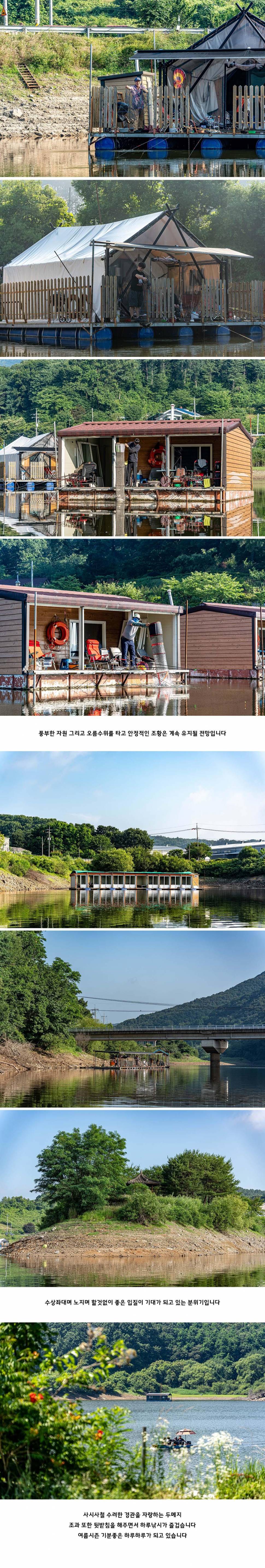 안성 두메낚시터 6월 23일 조황정보 (유료터정보 - 유료터점주조황)