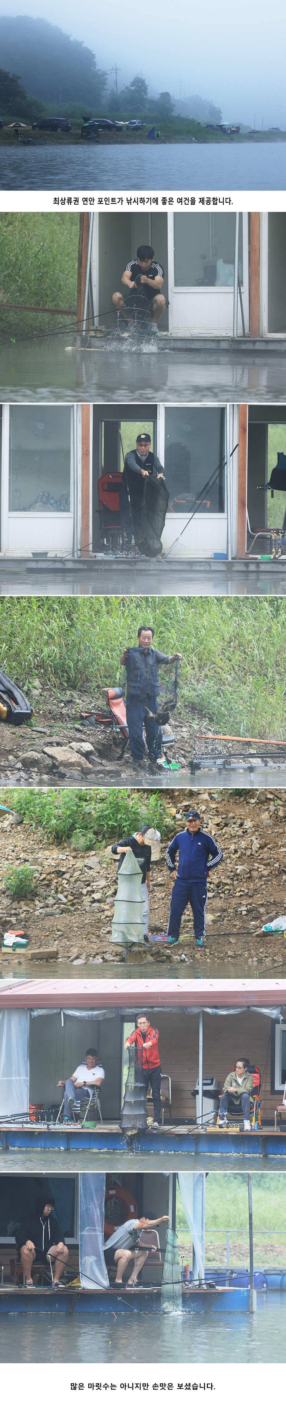 안성 두메낚시터 8월18일 조황안내 (유료터정보 - 유료터점주조황)