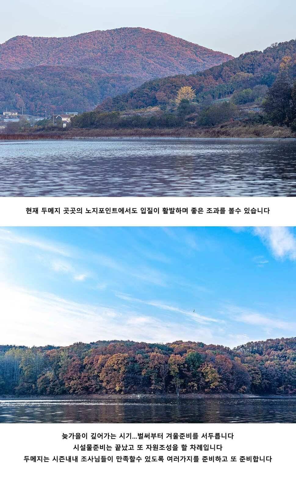 안성 두메낚시터 11월 7일 조황정보 (유료터정보 - 유료터점주조황)