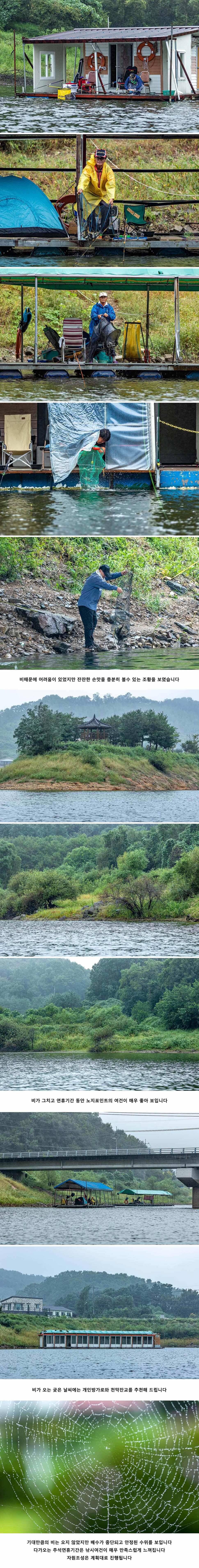 안성 두메낚시터 9월 11일 조황정보 (유료터정보 - 유료터점주조황)
