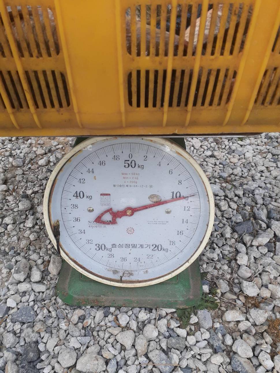 경주 동산낚시터붕어 전용잡이터지난주 조황 (유료터정보 - 유료터점주조황)