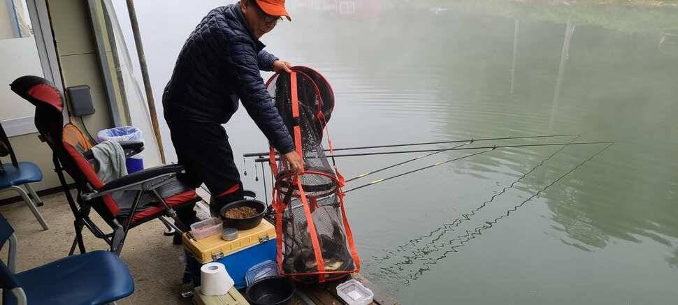 양평낚시터 힐링 수곡낚시터 56 주중조황 및 붕어 방류 안내 (유료터정보 - 유료터점주조황)