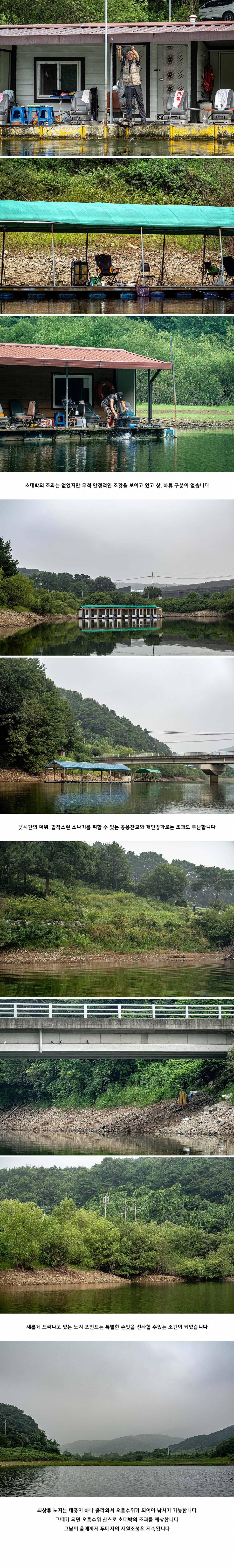 안성 두메낚시터 8월 24일 조황정보 (유료터정보 - 유료터점주조황)