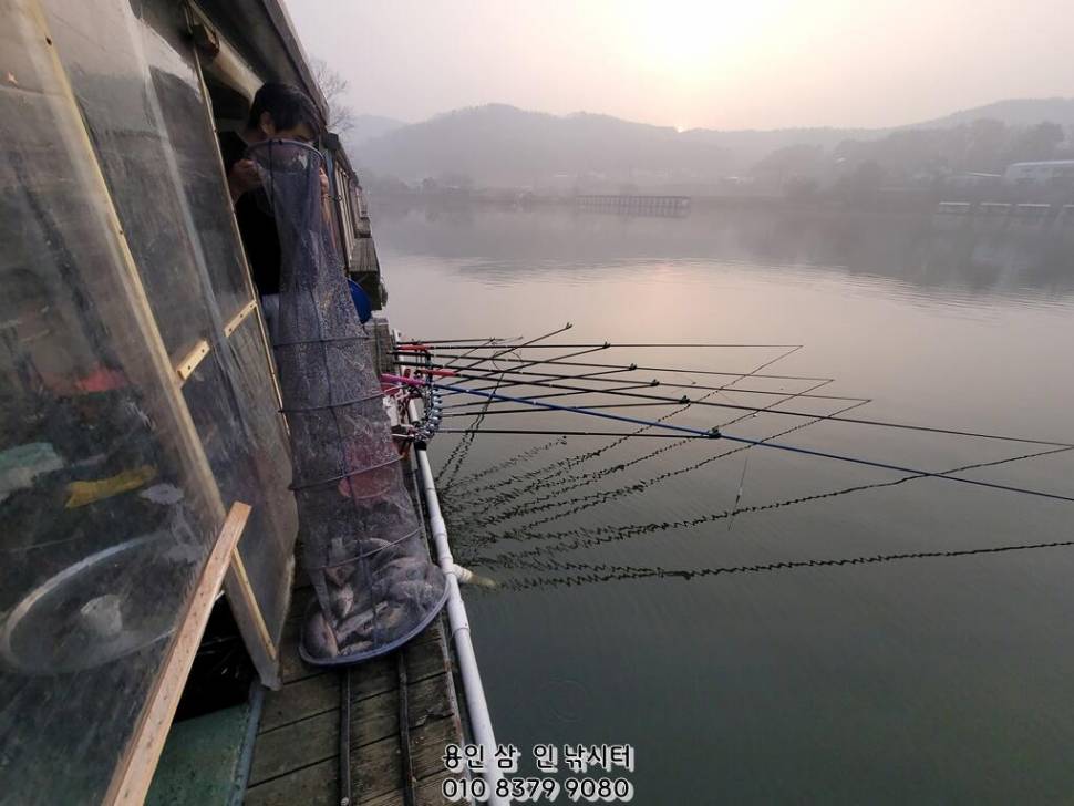 추워 질 땐 따뜻한 삼인 낚시터로용인삼인낚시터 (유료터정보 - 유료터점주조황)