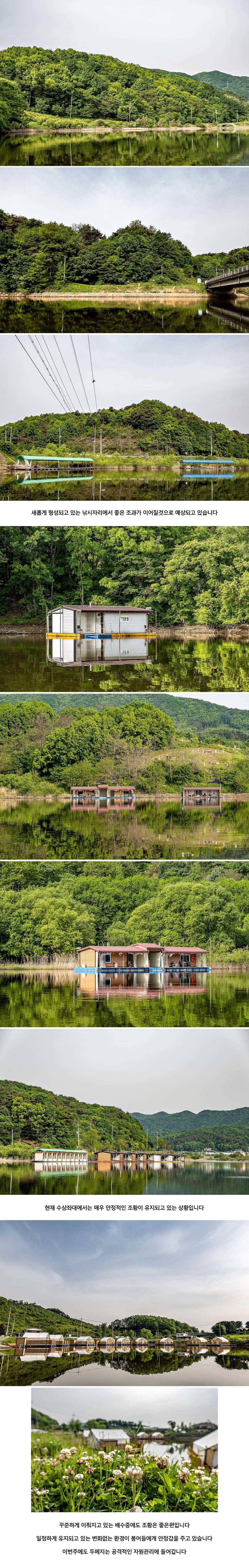 안성 두메낚시터 5월 14일 조황정보 (유료터정보 - 유료터점주조황)
