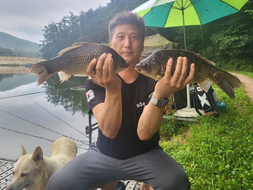 용담대물낚시터 (유료터정보 - 유료터점주조황)