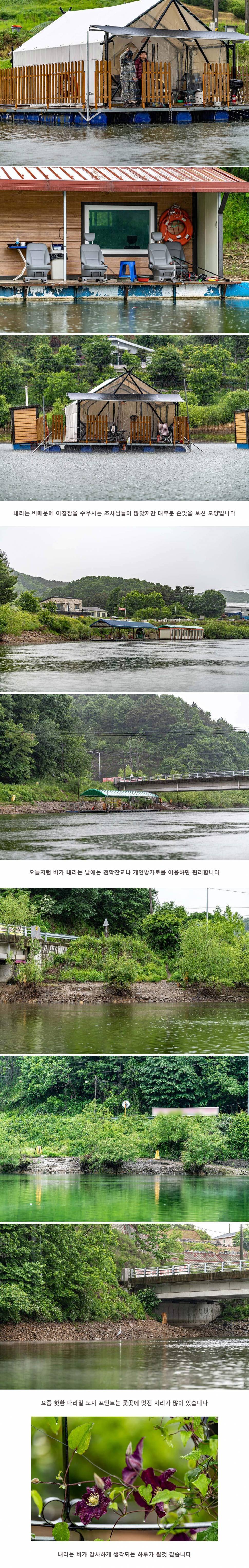 안성 두메낚시터 5월 25일 조황정보 (유료터정보 - 유료터점주조황)