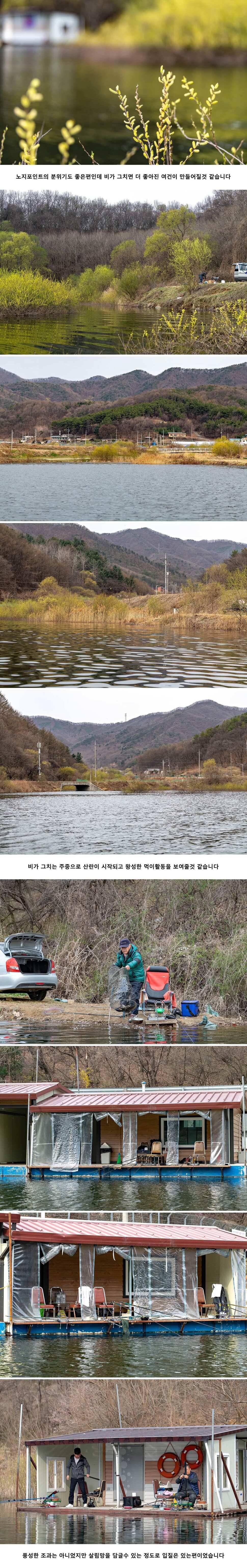 안성 두메낚시터 4월 9일 조황정보 (유료터정보 - 유료터점주조황)