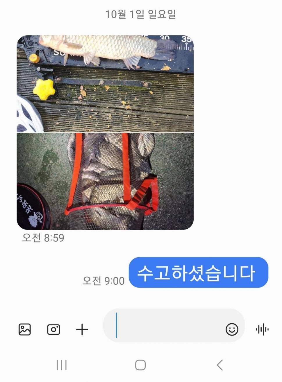 2023년 10월 첫째주 조황정보 용담낚시터사암지 (유료터정보 - 유료터점주조황)