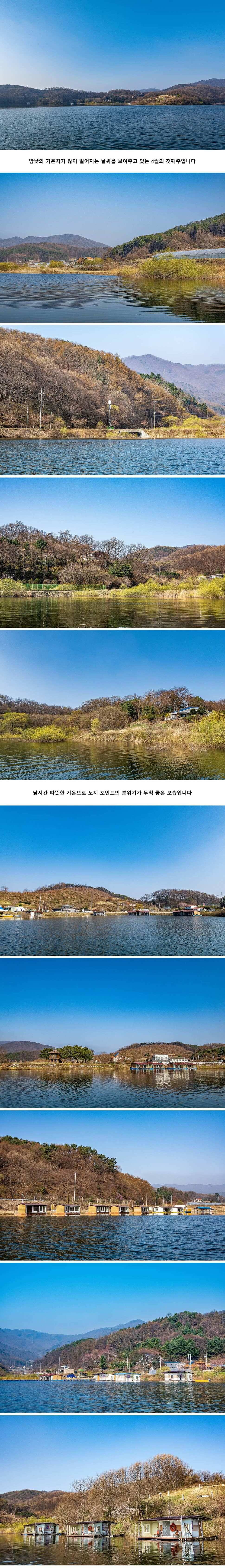 안성 두메낚시터 4월 3일 조황정보 (유료터정보 - 유료터점주조황)