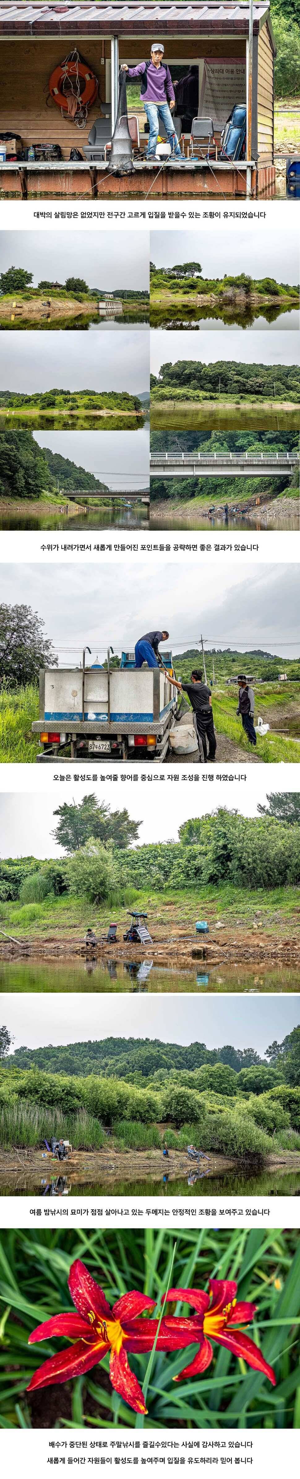 안성 두메낚시터 6월 27일 조황정보 (유료터정보 - 유료터점주조황)