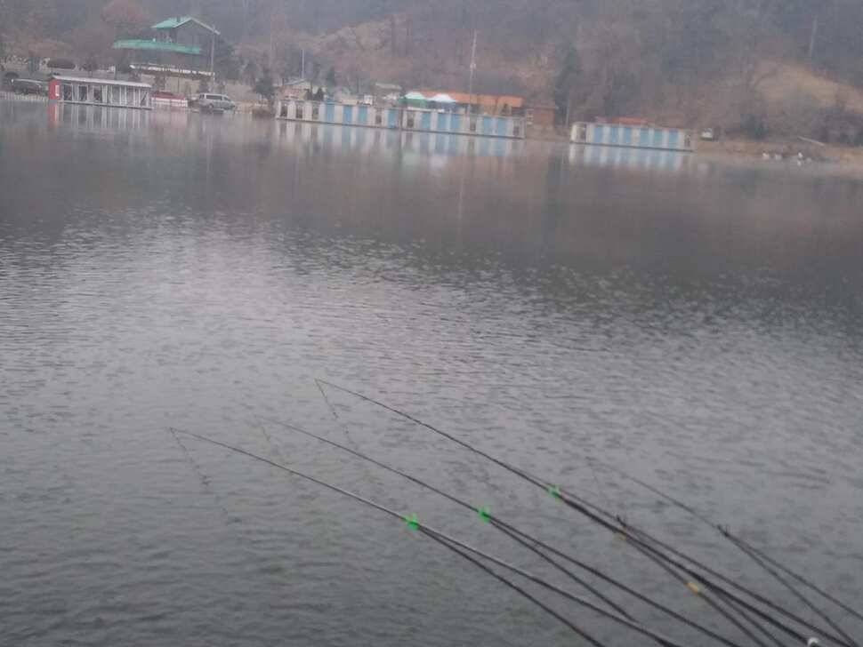 겨울물낚시 양평 수곡낚시터 주말 조황 및 붕어방류 소식 (유료터정보 - 유료터점주조황)