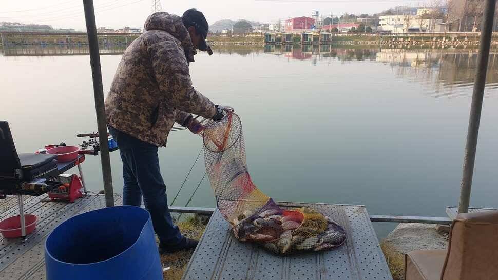 안성 거청낚시터 4월 16일 붕어조황 (유료터정보 - 유료터점주조황)
